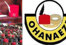 Igbo Leaders Abolish ‘Eze Ndigbo’ Title, Institute ‘Onyendu’
