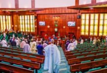 Senate Reshuffles Committees to Help Tackle Worsening Security Situation