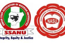 Non-Academic University Staff in Nigeria Begin Indefinite Strike Over Unpaid Salaries