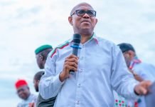 Peter Obi Slams Reps for Failing to Criminalise Vote-Buying at Primaries