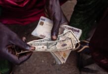 Naira Holds Steady at ₦1,359/$ with Reserves at $49.5bn