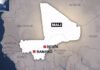 Human Rights Watch Calls for Probe Into Mali Massacre of 22 Persons