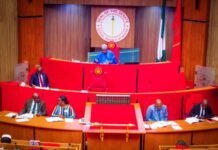 Senate Declares Kidnapping Terrorism, Wamakko Warns Against Withdrawing Police from VIPs