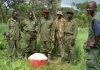 President Tinubu Approves Armed Forest Guards to Secure Nigeria’s Forests