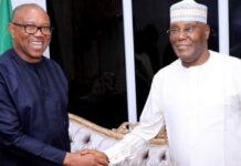 Atiku, Obi Camps Ponder Over Single Candidate Proposal