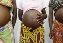 Teen Apprentice Allegedly Impregnates 10 Girls in 5 Months – Including Boss’s Daughter