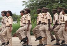 Immigration Service Suspends Lagos-Seme Officers for Extortion