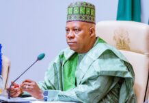 VP Shettima On Nigeria’s Skills Gap at American University Event Jonathan's dismissal of Shettima not connected to Tinubu's suspension of Fubara – VP's office