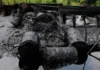 Navy Shuts Down Illegal Refineries, Seizes Stolen Crude Oil in Rivers