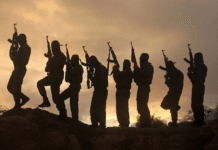 Bandits Kill Eight, Injure 11 in Katsina Village Attack 80% of bandit attacks aided by local informants — Katsina govt