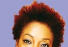 Opinion: “2027 – Beyond Ethnic and Regional Ambush” – By Onikepo Braithwaite