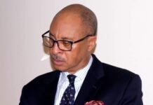 Court Rules Pat Utomi’s Shadow Government Illegal