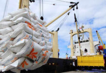 Nigeria’s Non-Oil Exports Hit Record $6.1bn in 2025