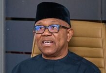 APC Mocks Peter Obi After Losing Polling Unit, Ward, LGA to APGA