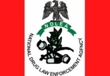 Nigeria Customs Hands Over ₦4.7 Billion Seized Cannabis to NDLEA