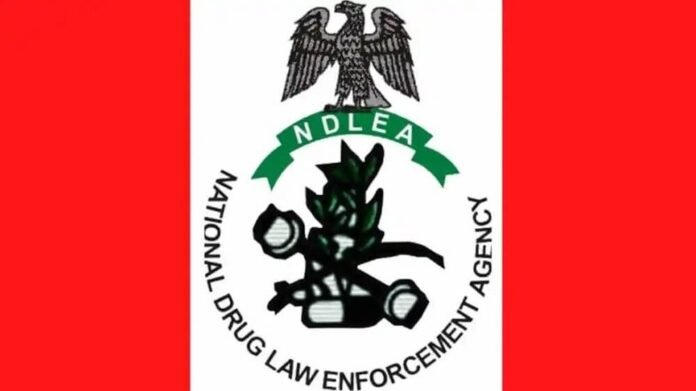 NDLEA-1-1