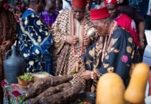 Enugu Gears Up for 2025 New Yam Music Festival, Eyes Global Tourism