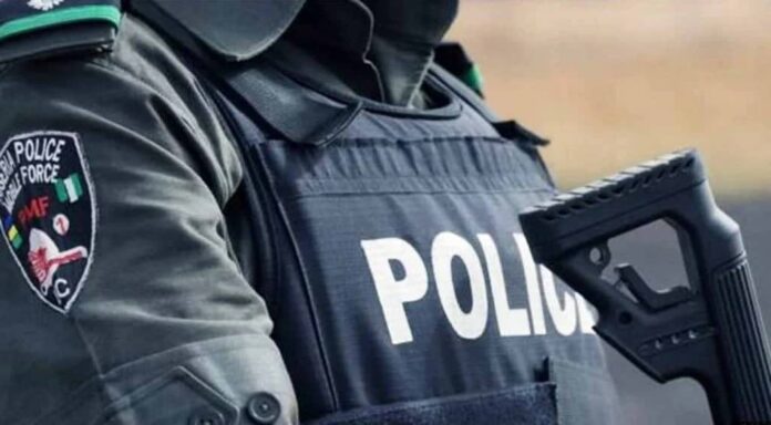 Police Arrest Mentally Deranged Woman For Killing IDP In Borno