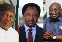 Sani, FFK, Ugwuanyi, Ikpeazu, Sani, Make Tinubu’s Ambassadorial List