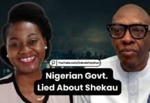 Interview: Nigeria’s Insecurity Crisis and The End Game Was Plotted Decades Ago – Ladi Thompson