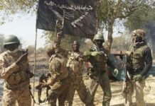 Boko Haram and ISWAP Clash in Bloody War for Control of Lake Chad