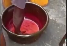 NAFDAC Called to Act as Video Shows Dye Mixed into Palm Oil for Sale