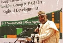FG Inaugurates Core Working Group on Regional Development