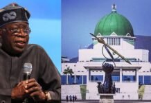 Senate Set for Tough Screening of Tinubu’s 65 Ambassadorial Nominees
