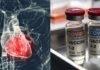 Stanford Study Sees Link Between Covid Vaccines and Heart Disease