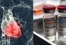 Stanford Study Sees Link Between Covid Vaccines and Heart Disease