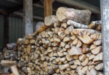 FG Bans Export of Wood Products to Curb Deforestation