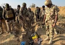 Nigerian Army Crush Terrorist Assaults in Borno, Adamawa