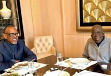 Tinubu Meets Kagame in Paris Amid Conspiracy Theories About His Absence