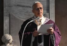 Vatican Announce Pope Leo to Visit Four African Nations in April