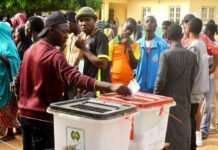 Intelligence Report on the 2026 Abuja Area Council Chairmanship Elections