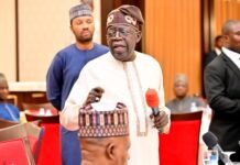 Tinubu Urges Senate to Amend Constitution to Create State Police