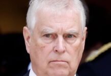 Prince Andrew Arrested in Epstein Probe; What it Means for the Royal Family
