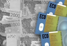 Nigeria Pushes Forward on ECOWAS ‘Eco’ Single Currency
