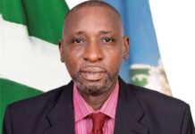 NIPSS Boss: Negotiating with Bandits is Better than Losing Nigerian Lives