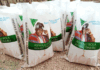 Tinubu Orders Nationwide Rice Distribution During Lent and Ramadan