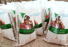 Tinubu Orders Nationwide Rice Distribution During Lent and Ramadan