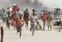 Thousands Flee Bauchi Villages as Bandits Overrun Alkaleri LGA