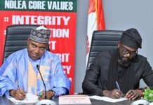 UNODC Declares Nigeria No Longer Safe Haven for Drug Cartels