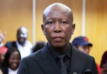 Pan-Africanist Julius Malema Sentenced to 5 Years Over Gun Case