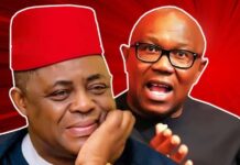 Fani-Kayode, Bwala Attack Peter Obi Over June 12 Comments