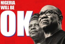 Kwankwaso Says Obi-Kwankwaso Ticket Likely In 2027