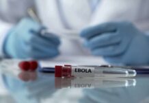 NCDC Debunks Ebola Outbreak Rumours in Nigeria