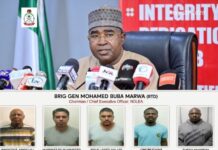 NDLEA Smashes Nigerian-Mexican Cartel in Ogun, Seize ₦480bn Meth