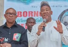 Atiku Would’ve Won 2027 If He Supported Obi In 2023 – Datti