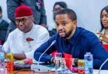 Nzekwe Back CEO of SEDC, Mark Okoye, After Senate Hearing